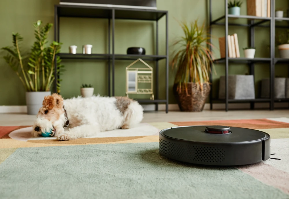 robotic vacuum cleaner pet hair